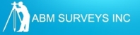 ABM Surveys